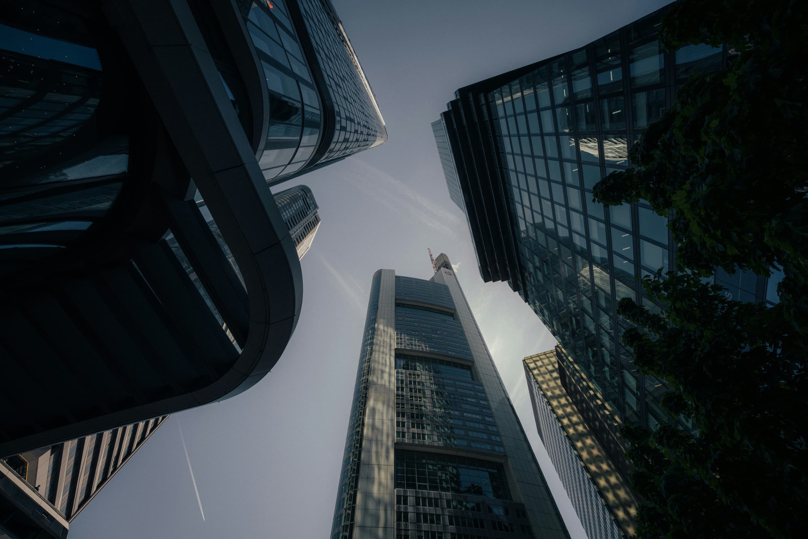 An upward view between modern glass office towers